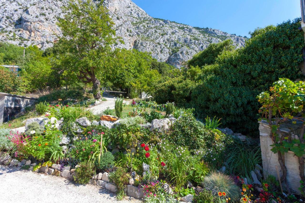 Holiday Home Lavanda Grubisic Tučepi Exterior foto